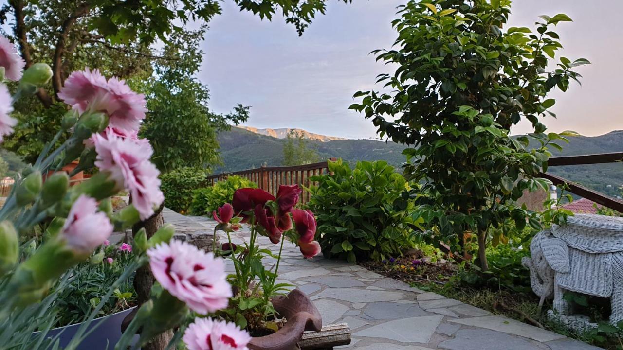 Alagonia Country Homes المظهر الخارجي الصورة