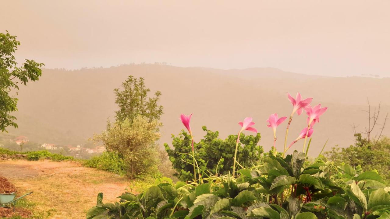 Alagonia Country Homes المظهر الخارجي الصورة