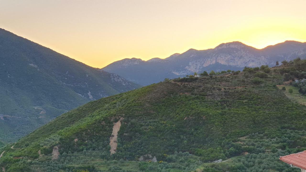Alagonia Country Homes المظهر الخارجي الصورة