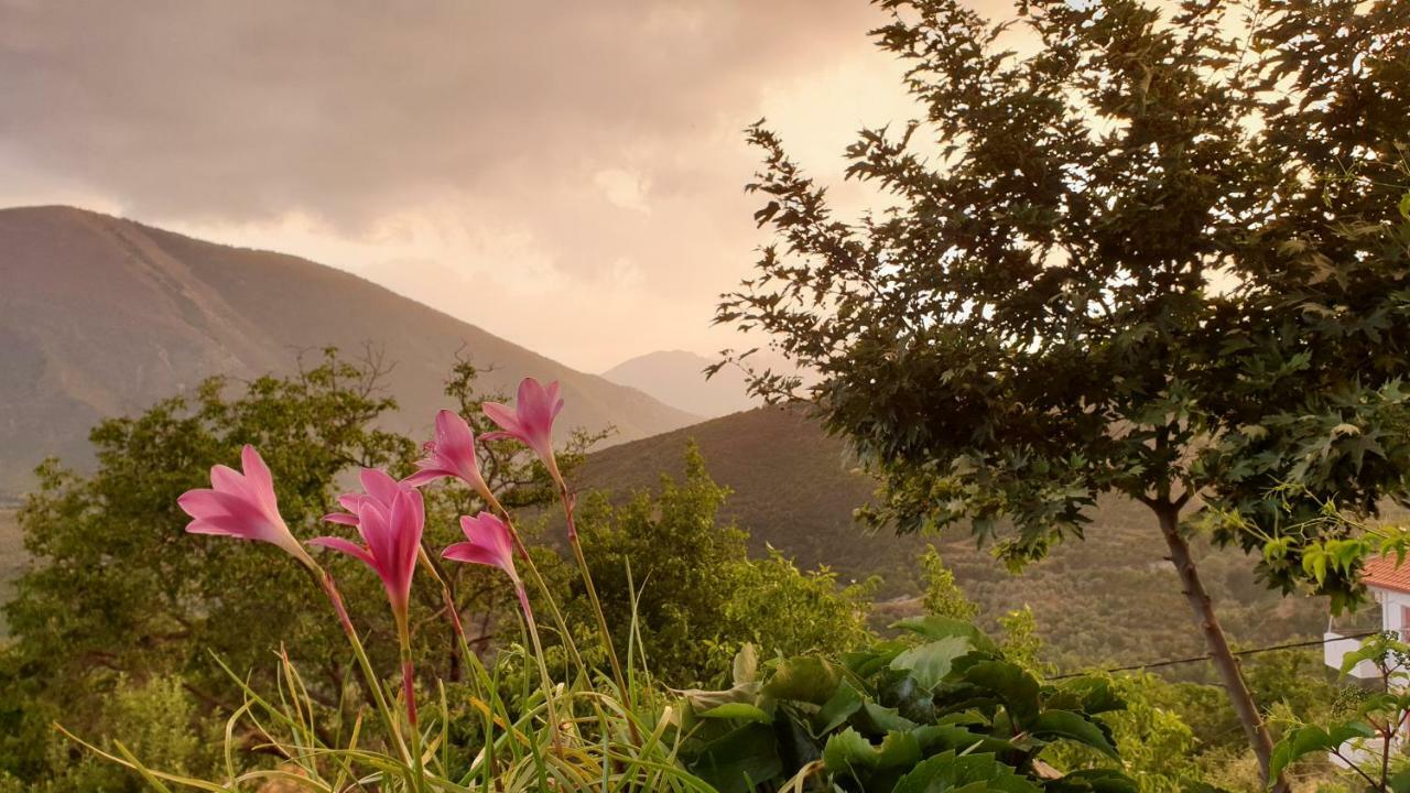 Alagonia Country Homes المظهر الخارجي الصورة