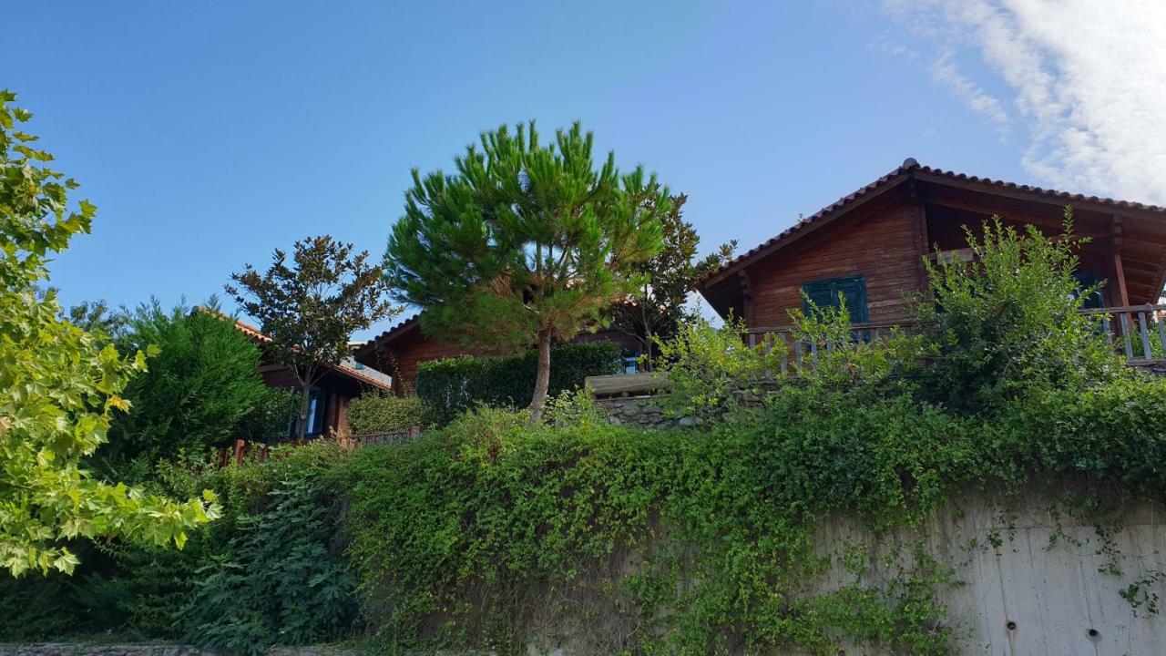 Alagonia Country Homes المظهر الخارجي الصورة