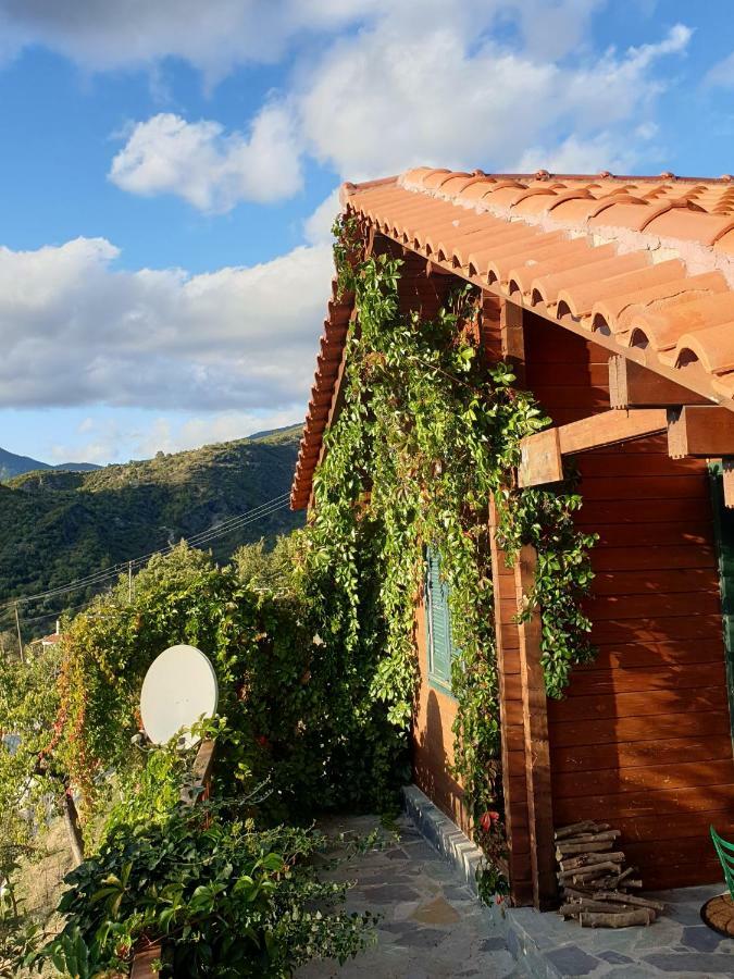 Alagonia Country Homes المظهر الخارجي الصورة