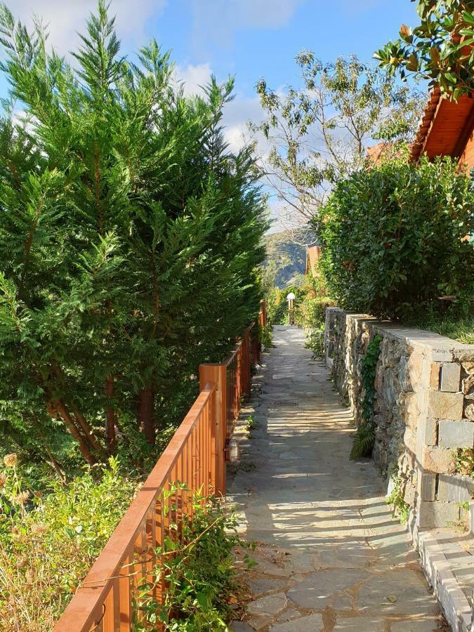 Alagonia Country Homes المظهر الخارجي الصورة