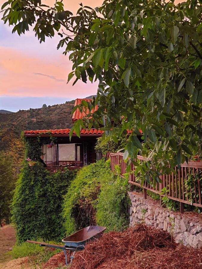 Alagonia Country Homes المظهر الخارجي الصورة